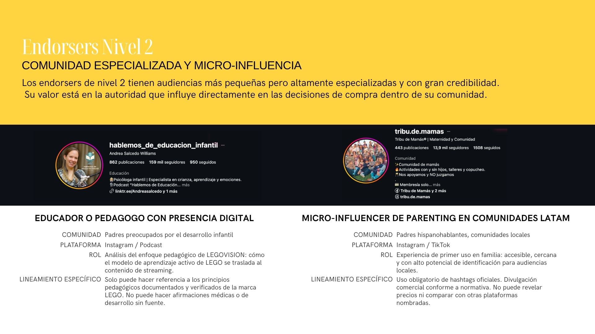 Endorsers Nivel 2 · perfiles especializados
